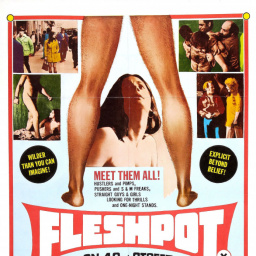Most Similar Movies to Fleshpot on 42nd Street (1973)