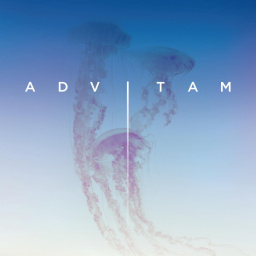 Tv Shows You Should Watch If You Like Ad Vitam (2018)