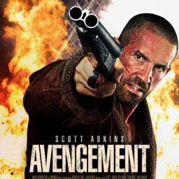 Movies to Watch If You Like Avengement (2019)