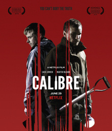 Movies You Would Like to Watch If You Like Calibre (2018)