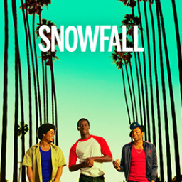 Tv Shows Similar to Snowfall (2017)