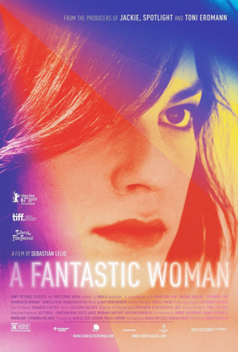 A Fantastic Woman (2017) - More Movies Like Take Me Somewhere Nice (2019)