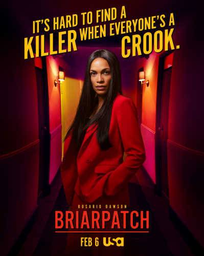 Briarpatch (2019 - 2020) - Most Similar Tv Shows to the Flight Attendant (2020)