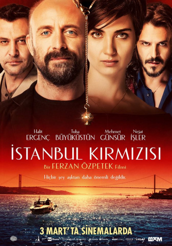 Red Istanbul (2017) - Movies You Should Watch If You Like Fukushima 50 (2020)