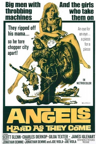 Angels Hard as They Come (1971) - Most Similar Movies to Chrome and Hot Leather (1971)