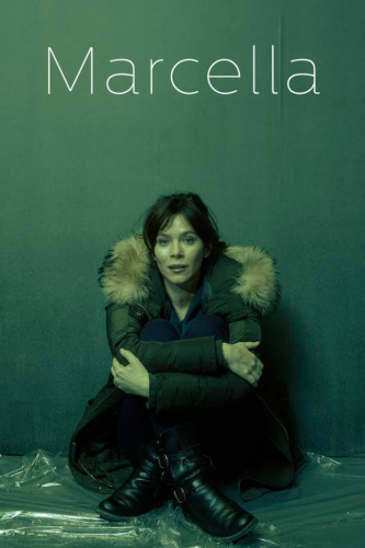 Marcella (2016) - Tv Shows Similar to Little Boy Blue (2017 - 2017)